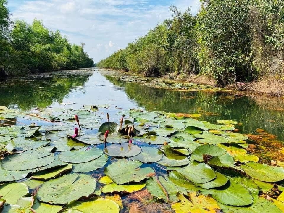 Kiệt tác thành luỹ tự nhiên tại Khu Bảo tồn và Du lịch sinh thái Đồng