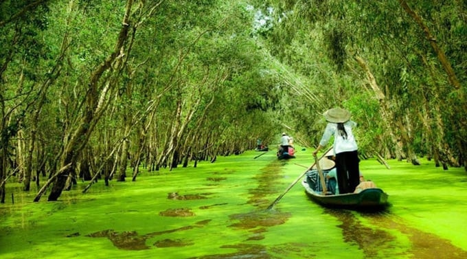 “Mở mũi’ xúc tiến Điểm tham quan Khu bảo tồn Đồng Tháp Mười 