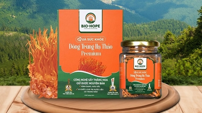 Công ty TNHH Xây dựng Sản xuất Tân Thuận có nhân sự “khiêm tốn” vẫn trúng thầu hàng nghìn tỷ tại Bà Rịa – Vũng Tàu
