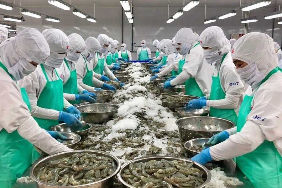 Thủy sản là một trong những ngành đã tận dụng được cơ hội từ RCEP tại thị trường Australia. Ảnh minh họa: Báo Công lý