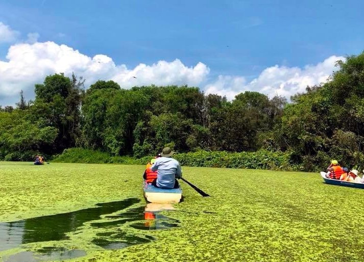 Thiên nhiên tuyệt đẹp và yên bình tại Điểm tham quan khu bảo tồn Đồng Tháp Mười