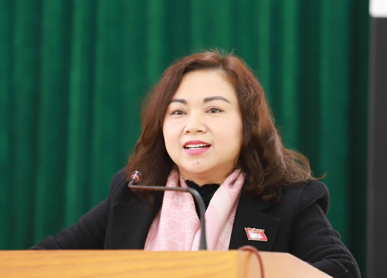 ĐBQH tỉnh Hòa Bình Đặng Bích Ngọc: Tiếp thêm ngọn lửa để Nhân dân đón Tết đầm ấm, sum vầy