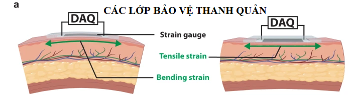Bí quyết giữ giọng trong suốt mùa lạnh! -0