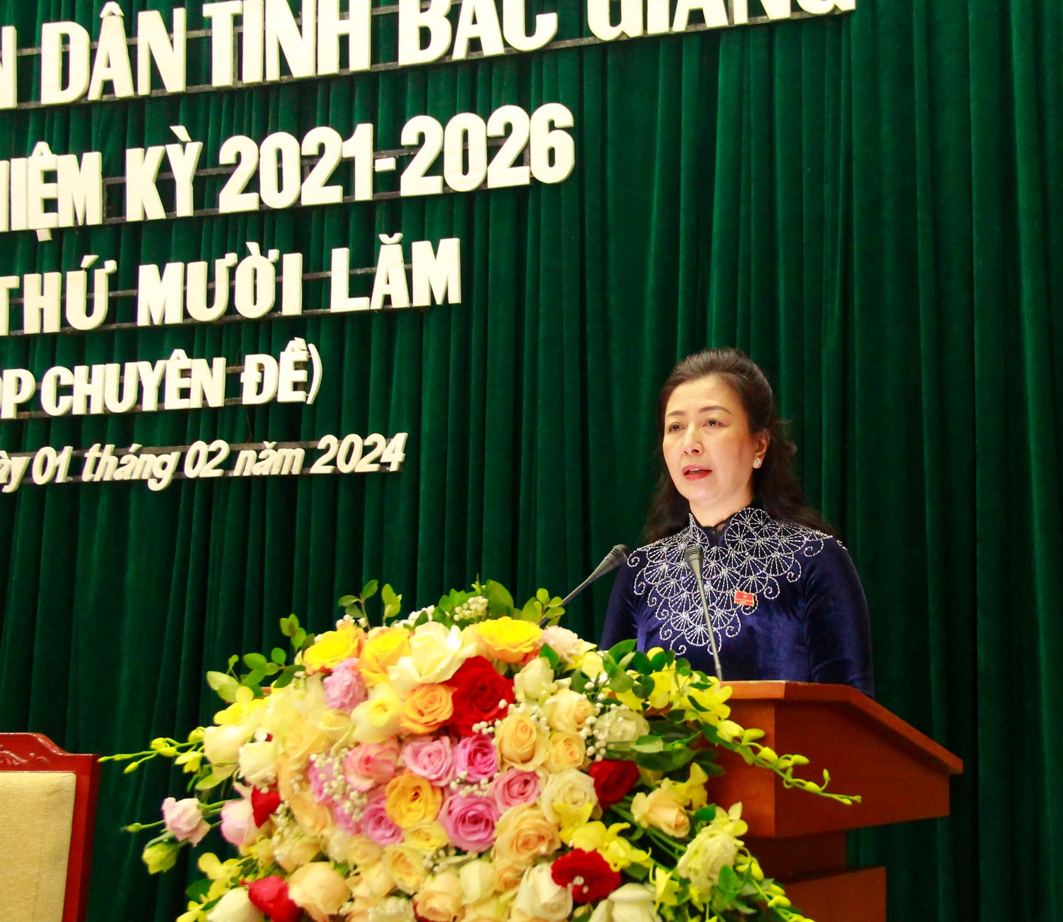 Bắc Giang khai mạc Kỳ họp thứ Mười Lăm (kỳ họp chuyên đề) -0