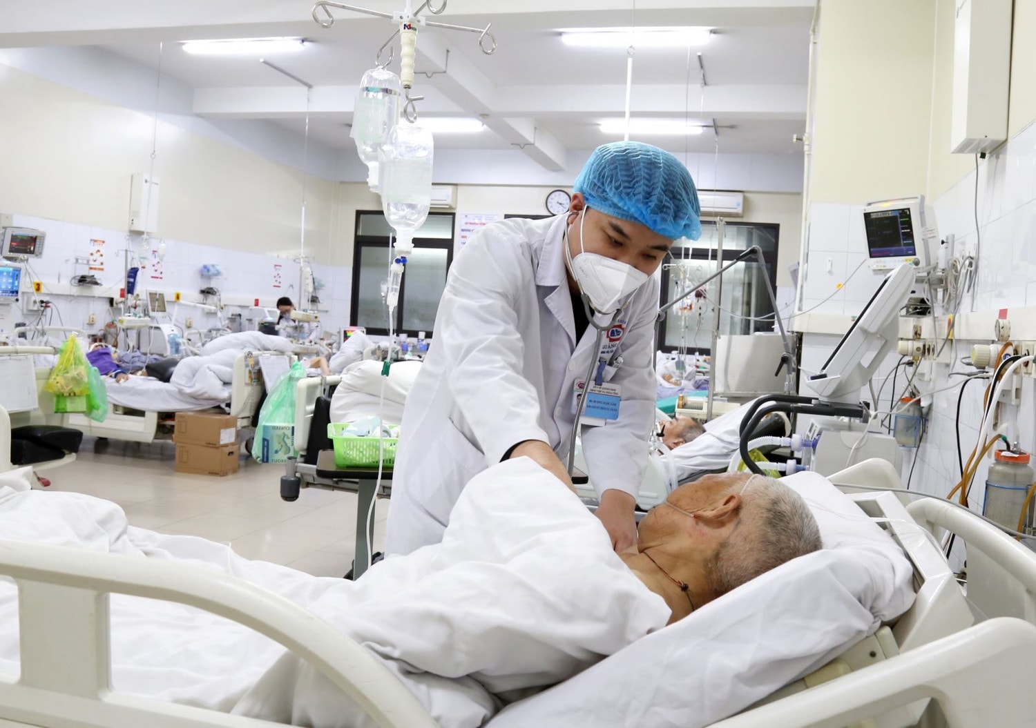 Ăn nhầm lá ngón, người phụ nữ 66 tuổi ngừng tim -0
