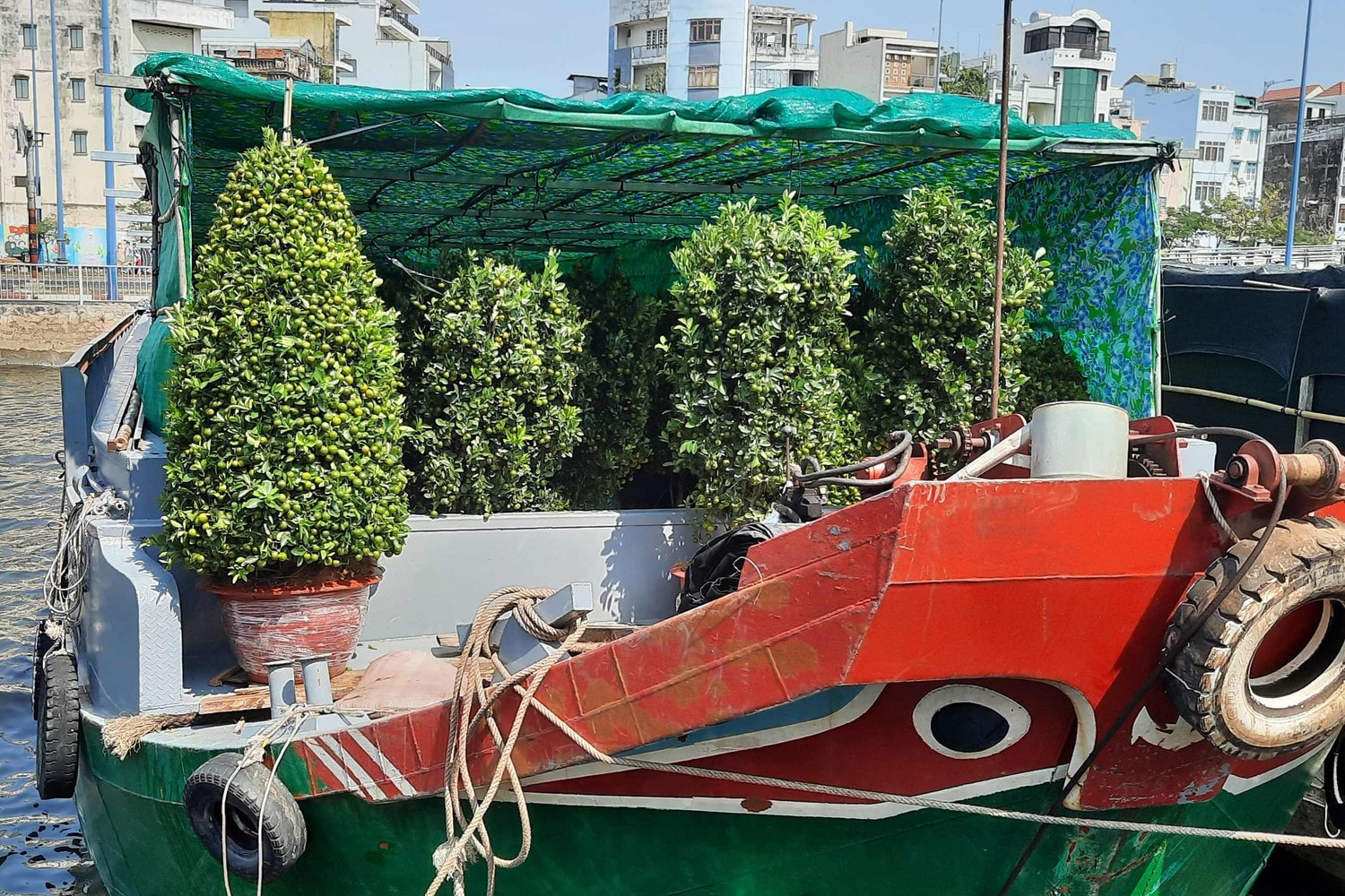 Hàng trăm loại hoa từ các tỉnh tập kết về TP. Hồ Chí Minh cùng khoe sắc dịp Tết Giáp Thìn 2024 -0