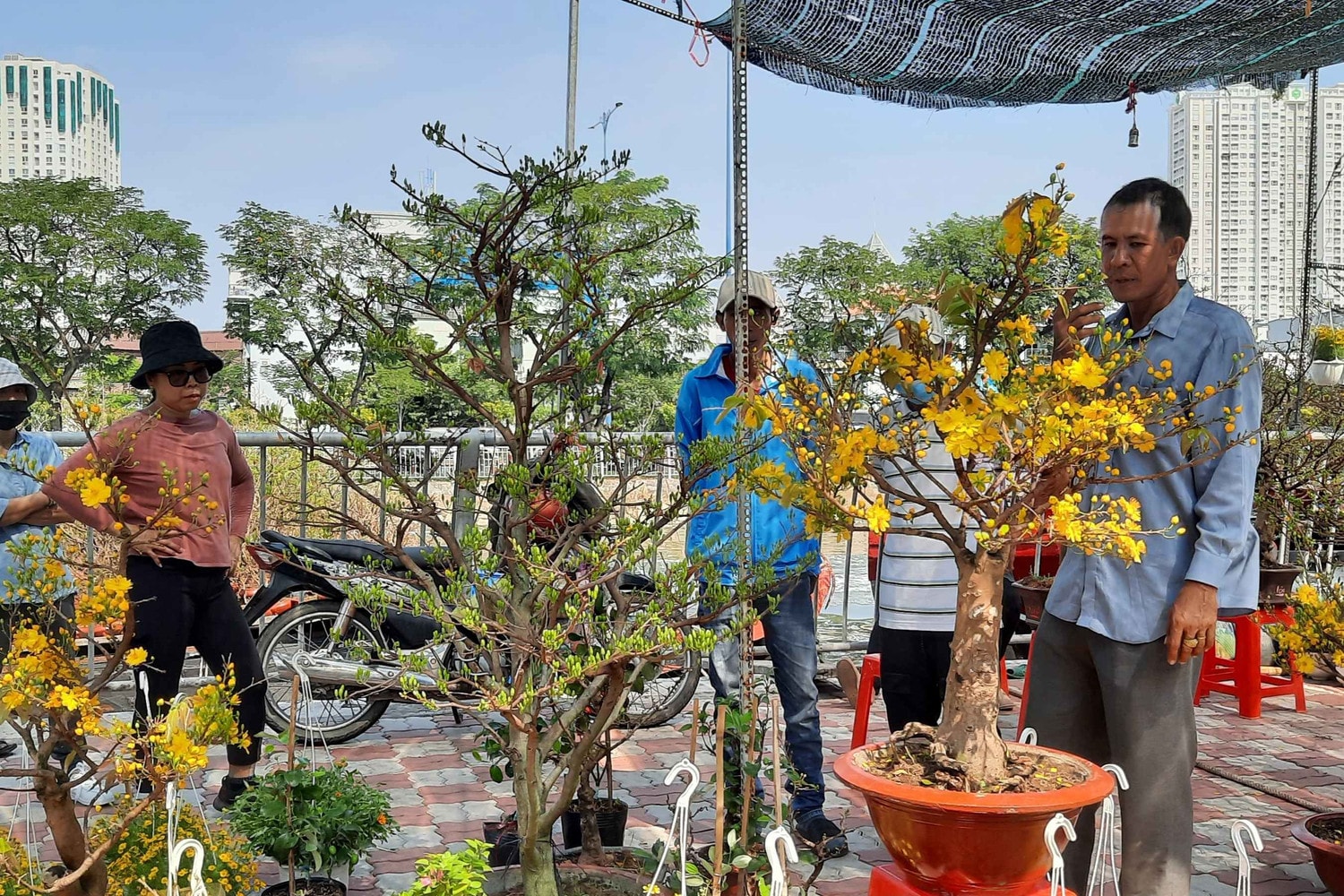 Hàng trăm loại hoa từ các tỉnh tập kết về TP. Hồ Chí Minh cùng khoe sắc dịp Tết Giáp Thìn 2024 -0