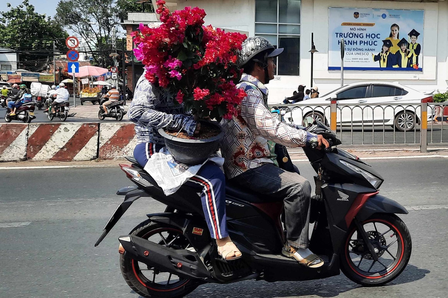 Hàng trăm loại hoa từ các tỉnh tập kết về TP. Hồ Chí Minh cùng khoe sắc dịp Tết Giáp Thìn 2024 -0