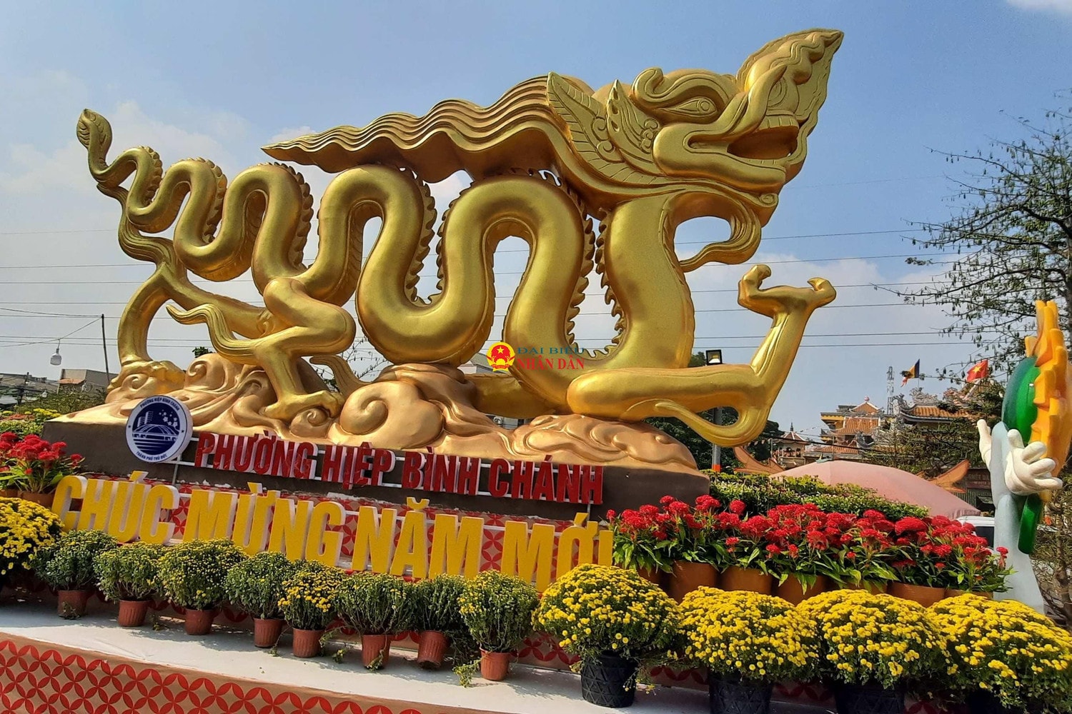 Mãn nhãn với hình ảnh linh vật rồng xuất hiện khắp nơi ở TP. Hồ Chí Minh -0