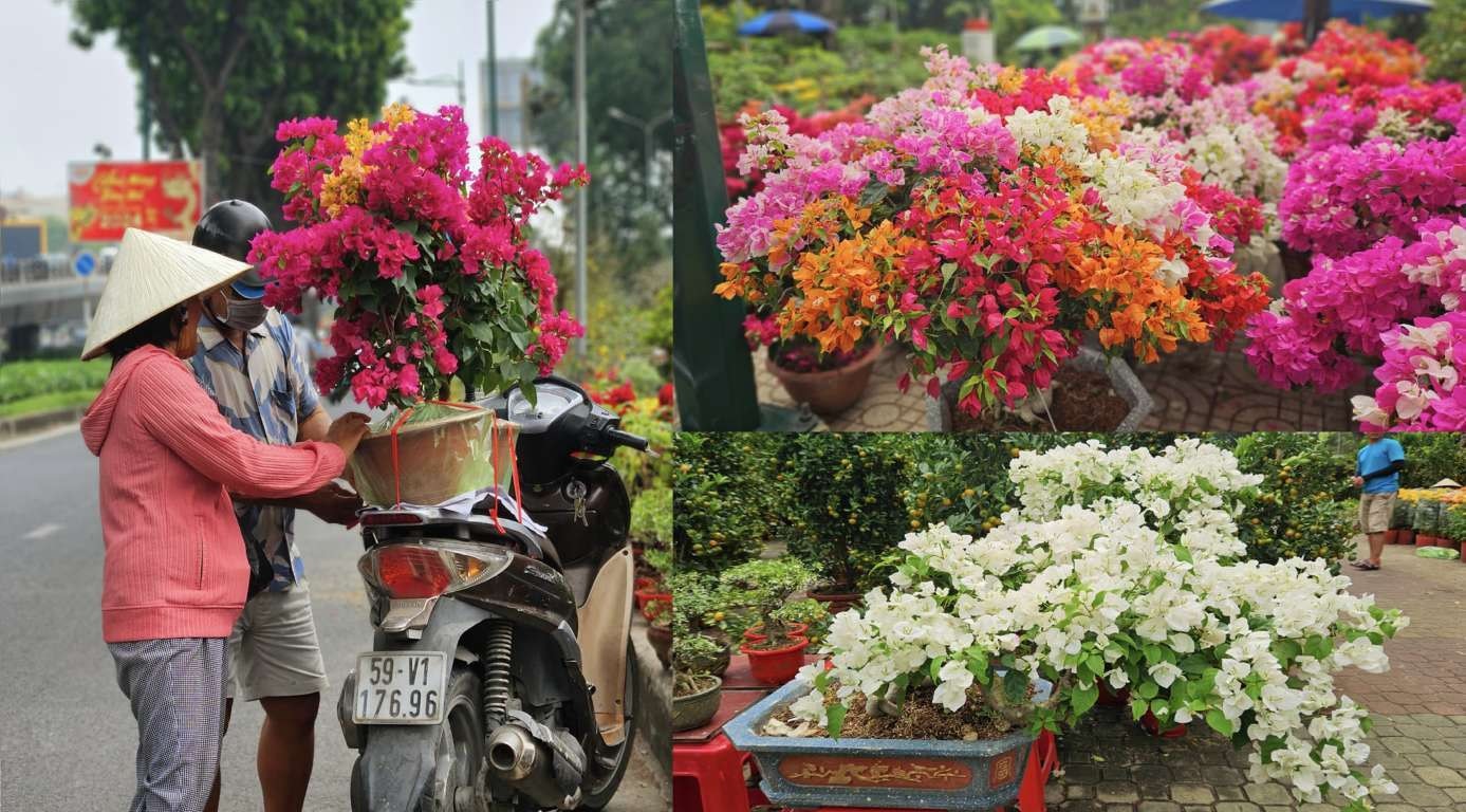 Nhộn nhịp hoa Tết từ các tỉnh trên cả nước đổ về TP. Hồ Chí Minh -0