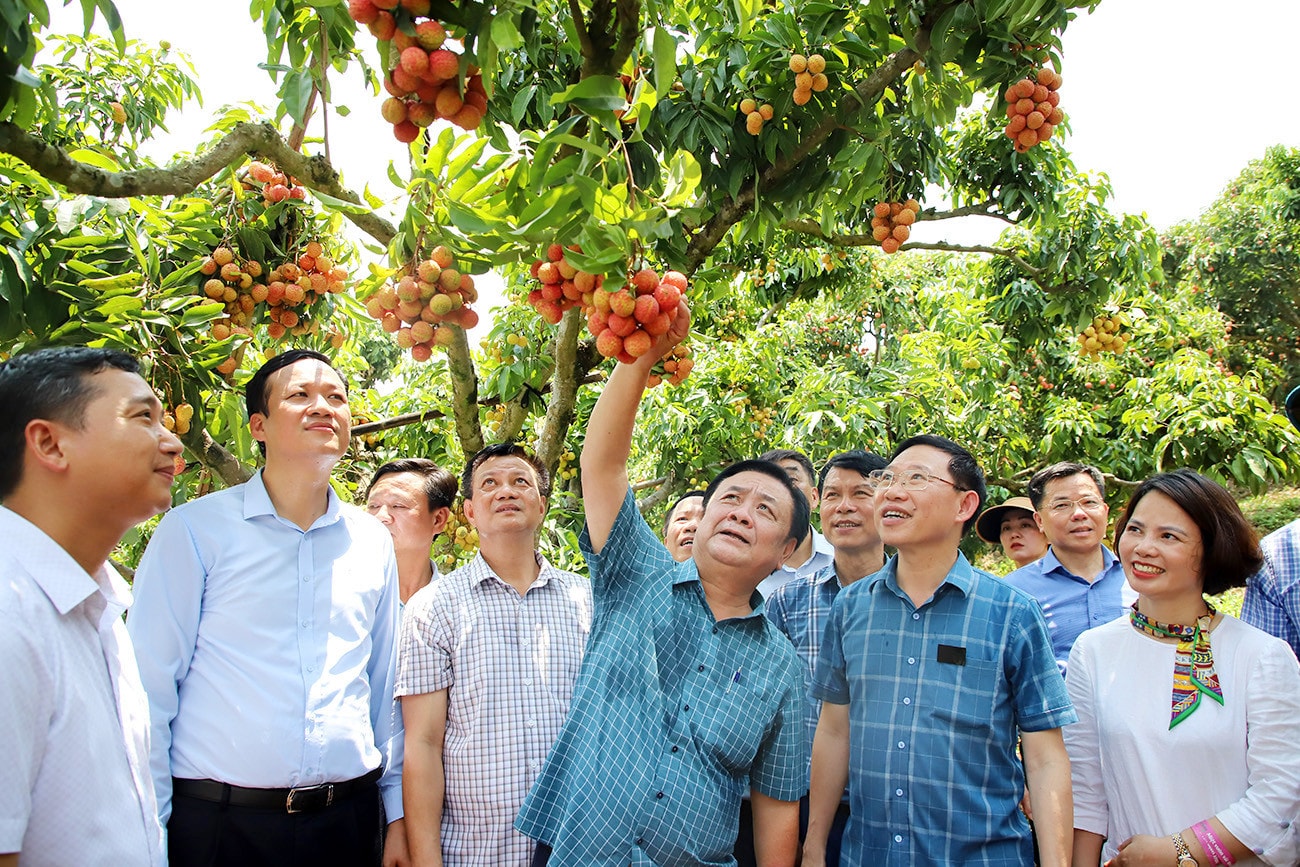 Từ sản xuất nông nghiệp sang kinh tế nông nghiệp -0