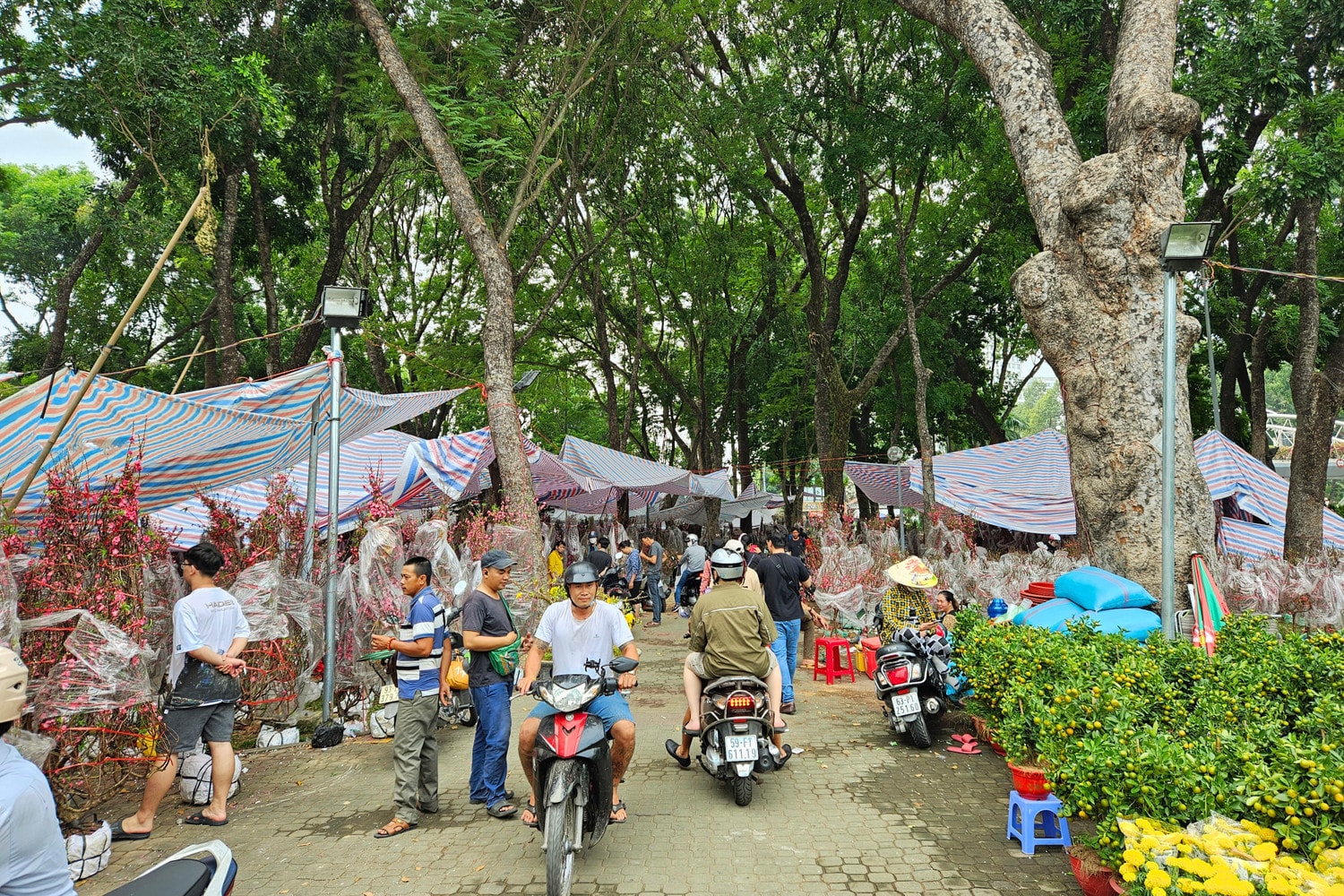 Chợ hoa Tết tại công viên Gia Định, quận Phú Nhuận