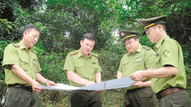 Những dấu chân thầm lặng ảnh 1