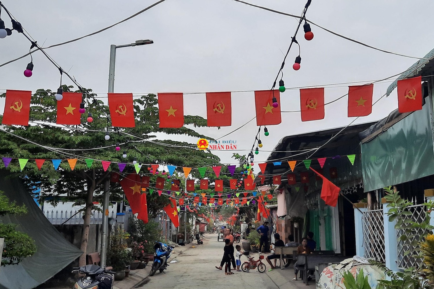 Người dân xã đảo duy nhất tại TP. Hồ Chí Minh rộn ràng đón Tết -0