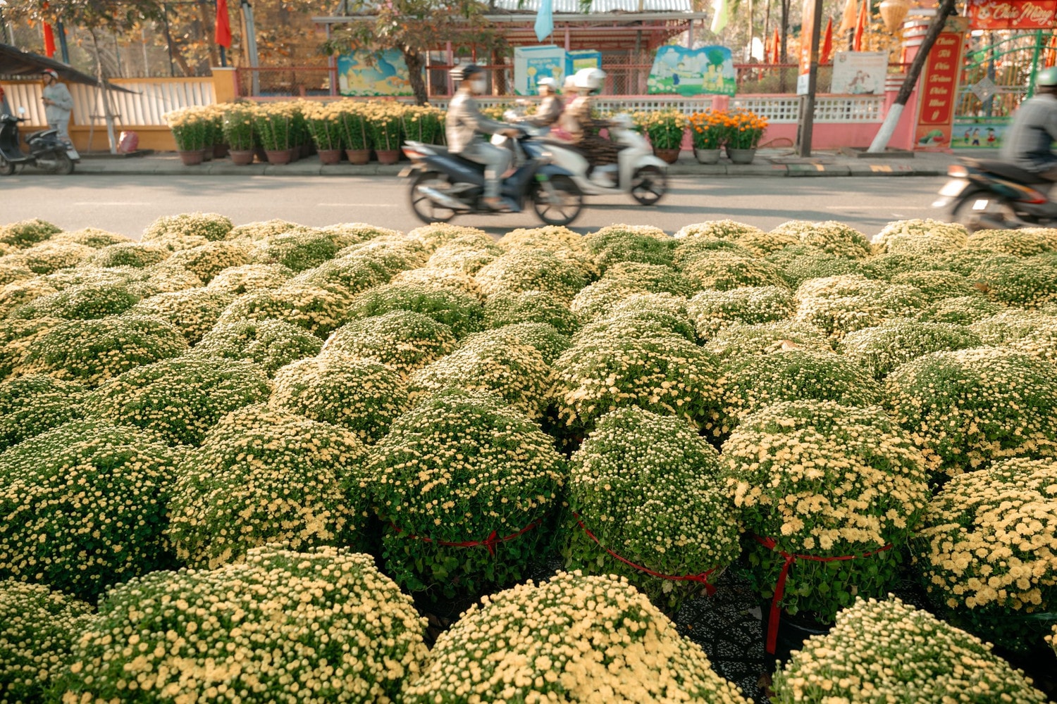 Hội Tết Nguyên đán Giáp Thìn tại Hội An -2