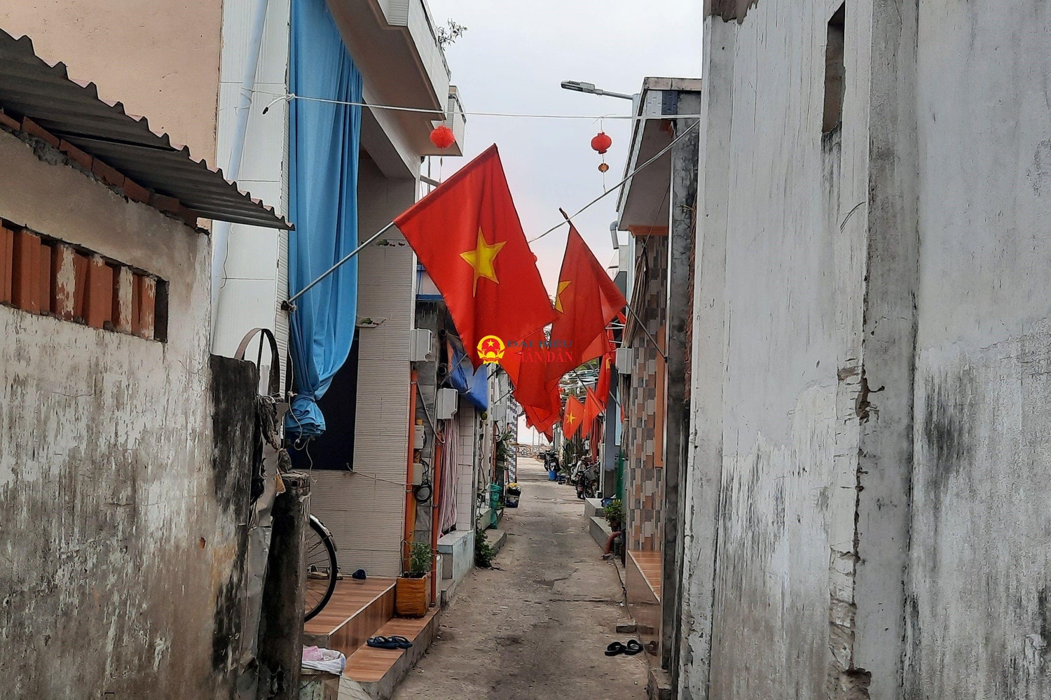 Người dân xã đảo duy nhất tại TP. Hồ Chí Minh rộn ràng đón Tết -0