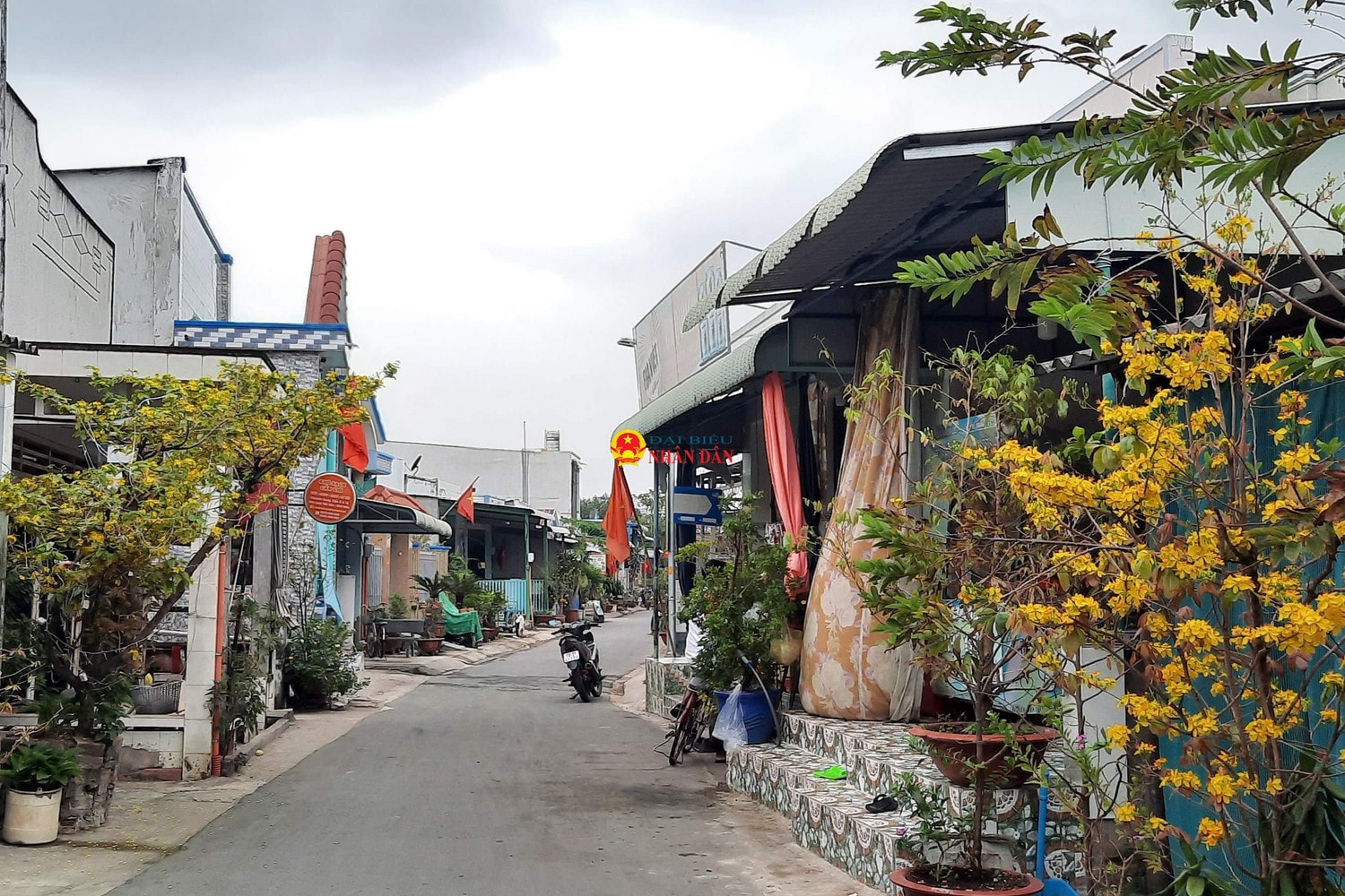 Người dân xã đảo duy nhất tại TP. Hồ Chí Minh rộn ràng đón Tết -0