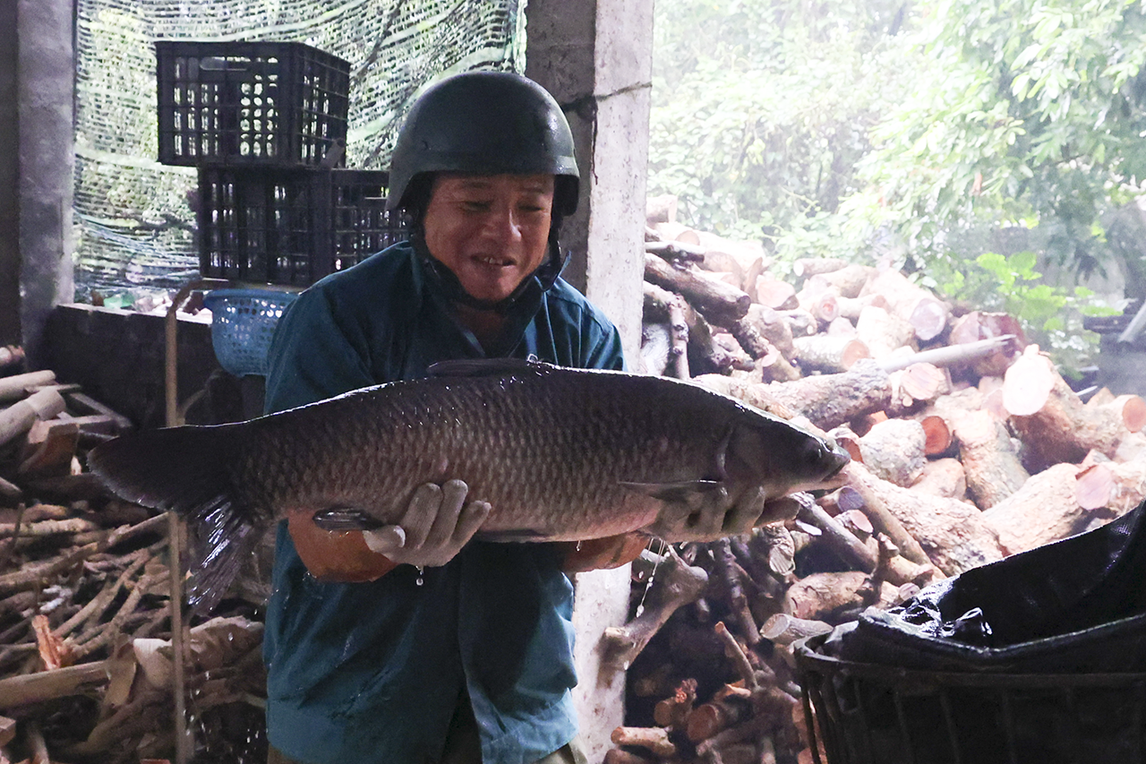 Cá kho làng Vũ Đại tất bật dịp Tết Nguyên đán Giáp Thìn 2024 -0