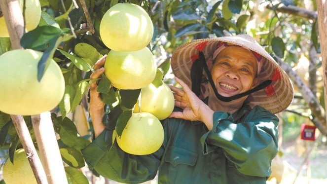 Huyện Hương Khê nỗ lực vượt khó xây dựng quê hương ngày càng giàu đẹp, văn minh ảnh 2 Huyện Hương Khê nỗ lực vượt khó xây dựng quê hương ngày càng giàu đẹp, văn minh ảnh 2