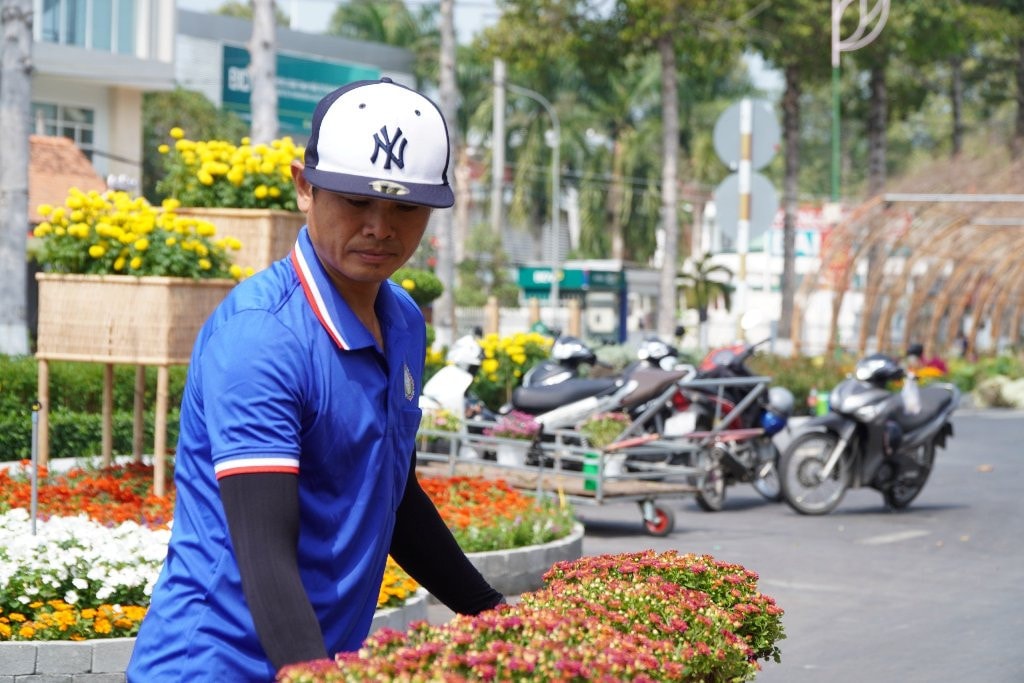Đường hoa Xuân Đất Sen hồng năm nay có gì đặc biệt?