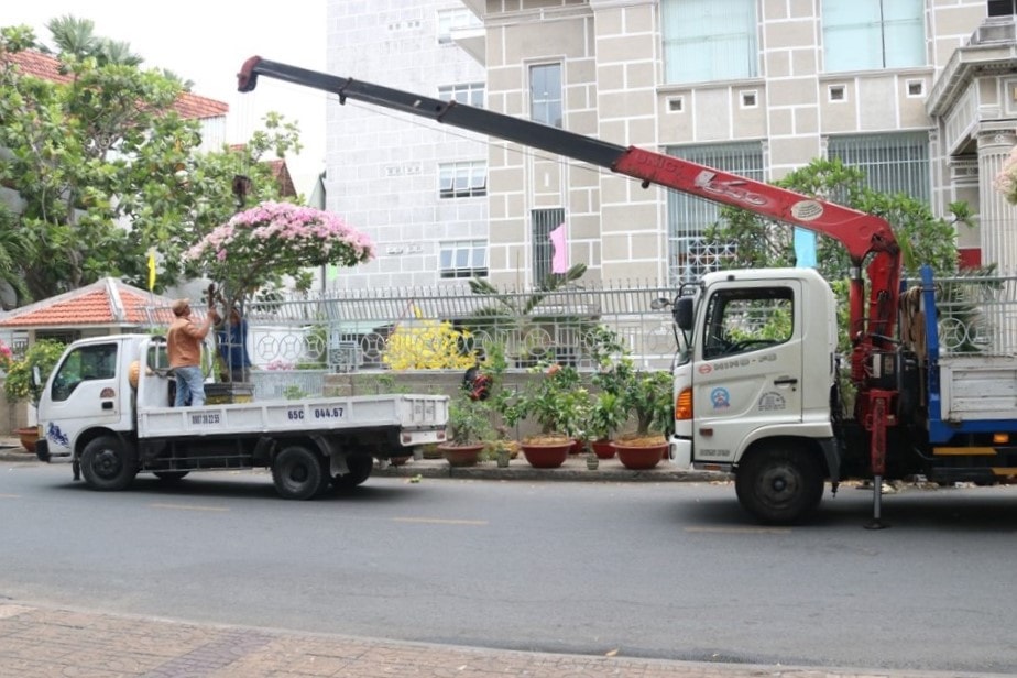 Đến 12h, xe cẩu đưa những cây kiểng lên xe, chở về quê; chuẩn bị mâm cùng ông bà đón Tết Tất bật chợ hoa kiểng ngày cuối năm trên đất Tây Đô