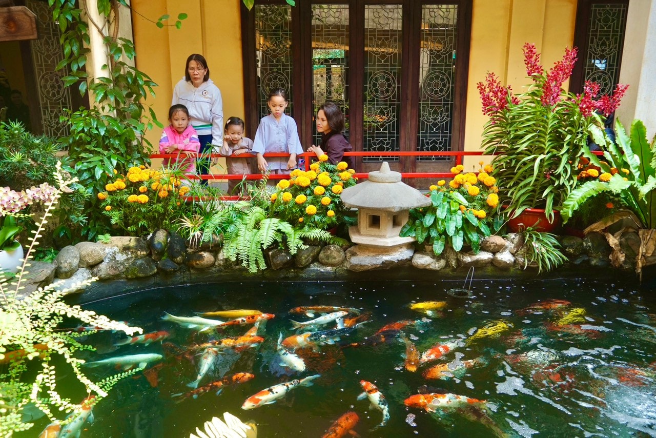 Du khách thư thái bên hồ cả cảnh tại chùa Vĩnh Nghiêm