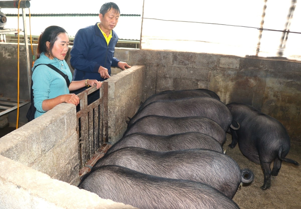 Bài cuối: Để hương ước, quy ước là “Cánh tay nối dài’ của pháp luật