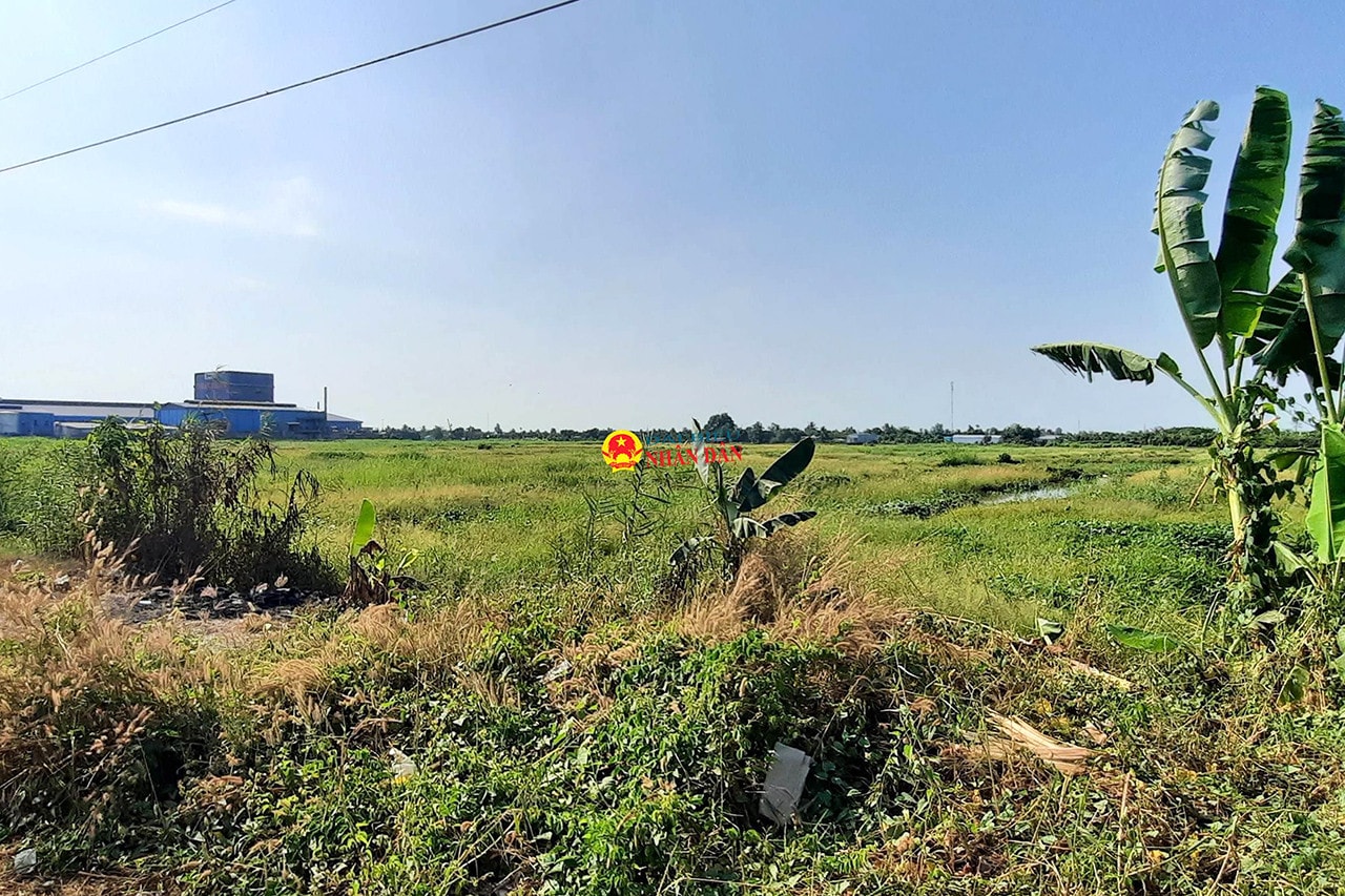 Dự án nhà máy của Công ty Cổ phần Xuất nhập khẩu Bến Tre vẫn là đất trống sau 12 năm được giao đất: 