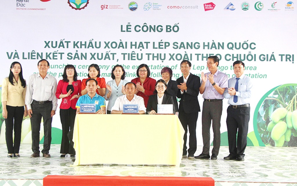 An Giang: Xuất khẩu 13 tấn xoài hạt lép đầu tiên sang Hàn Quốc