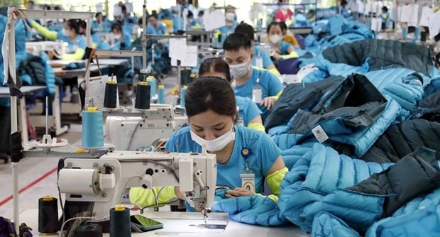 Optimistic signs seen in exports of garment-textile sector -0