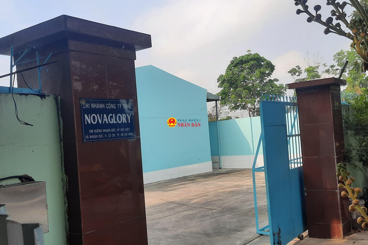TP. Hồ Chí Minh: Nhiều doanh nghiệp tại Củ Chi bị xử phạt vì gây ô nhiễm môi trường -0