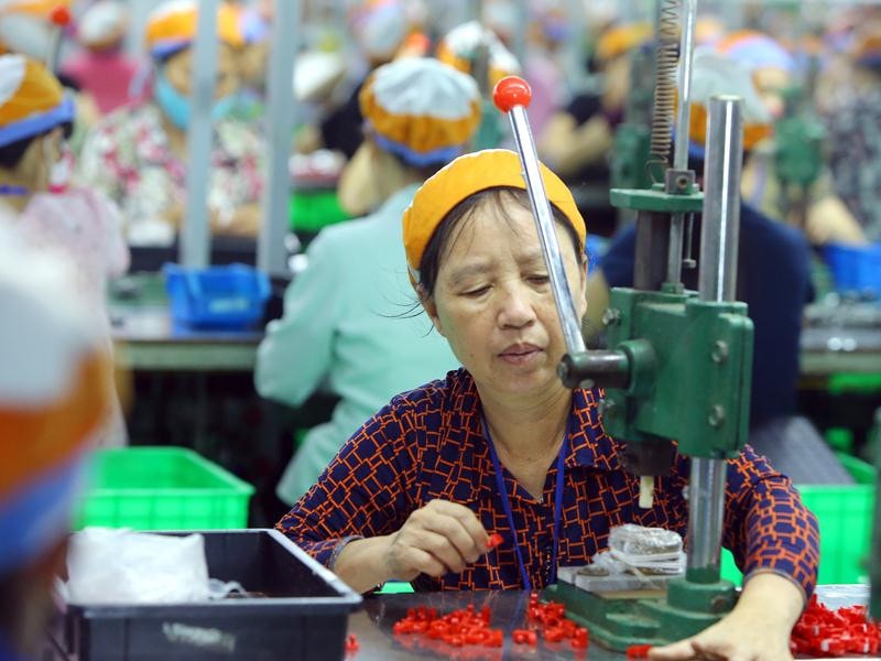 Nhiều ngành nghề được xem xét nghỉ hưu sớm -0
