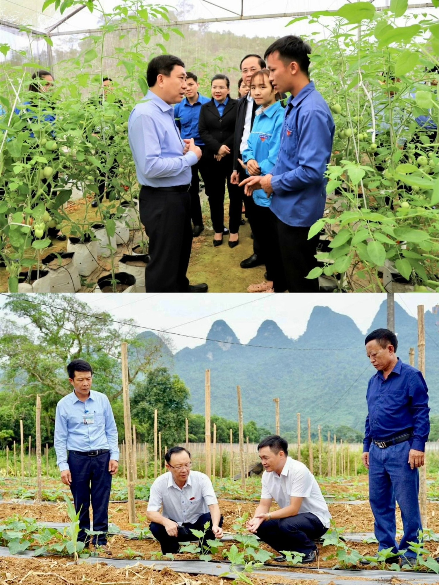 Hà Giang hướng tới nông nghiệp đặc trưng, chất lượng cao sản xuất theo chuỗi giá trị Quy hoạch tỉnh Hà Giang mở đường phát triển nhanh, bền vững -0