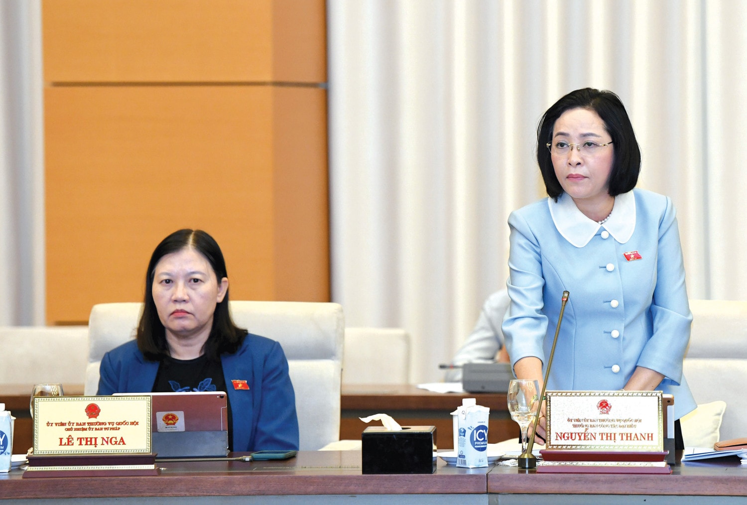 Trưởng ban Công tác Đại biểu Nguyễn Thị Thanh phát biểu