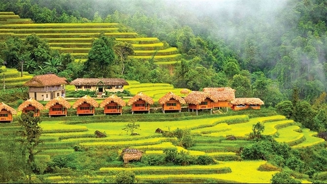 Hỏi - Đáp số 4