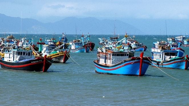 Tích cực triển khai phần mềm truy xuất nguồn gốc thủy sản 