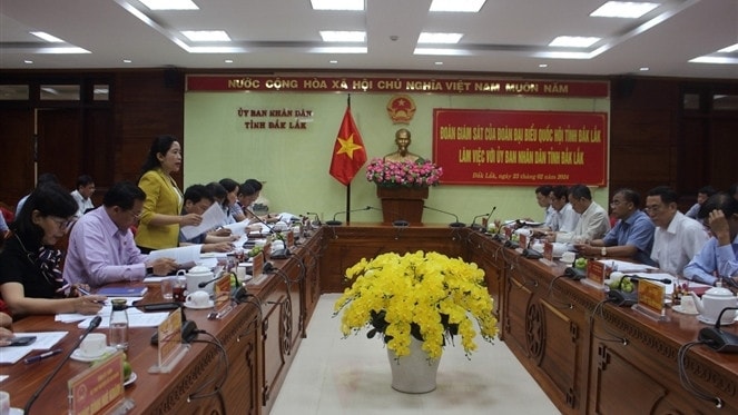 Đoàn ĐBQH tỉnh Đắk Lắk làm việc với UBND tỉnh, các sở, ngành và các đơn vị liên quan - ẢNH N. VIỆN