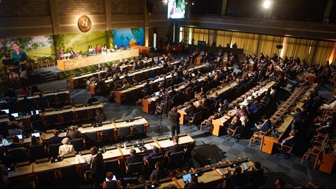 Quang cảnh Kỳ họp thứ 6 Đại hội đồng Môi trường LHQ ở Nairobi, Kenya. Nguồn: UNEP