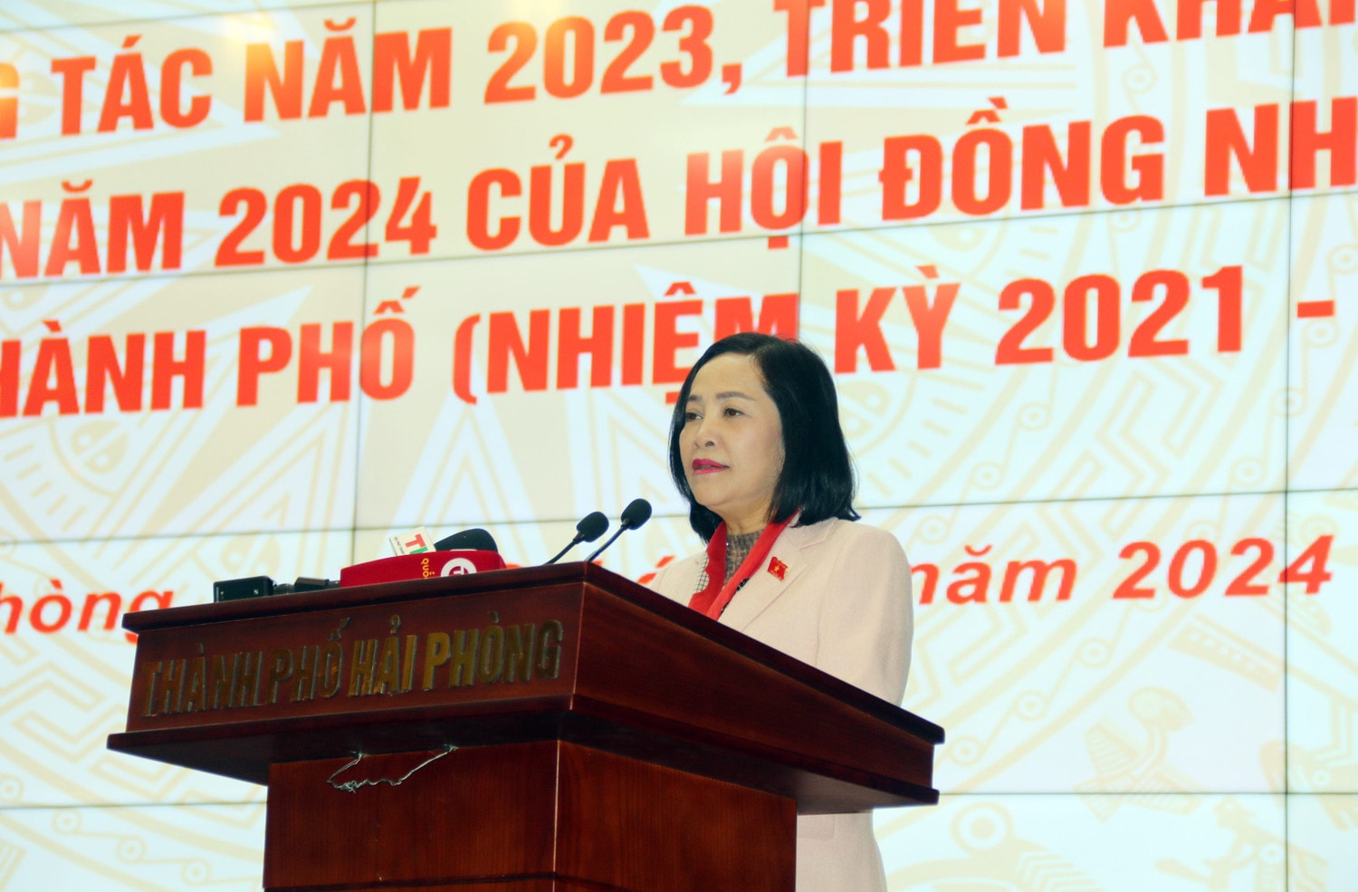Trưởng Ban Công tác đại biểu Nguyễn Thị Thanh dự Hội nghị tổng kết và triển khai nhiệm vụ của HĐND các cấp TP Hải Phòng - 0