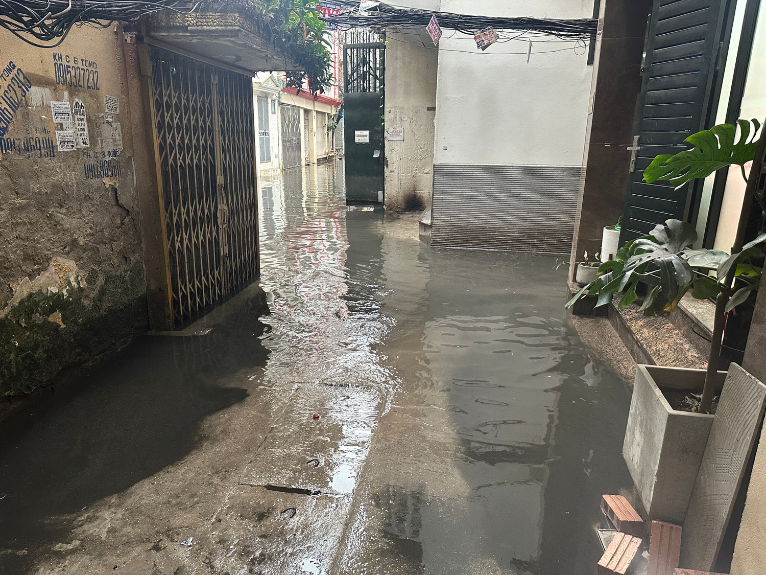 Phường Đội Cấn (Ba Đình): Sau cơn mưa, nước bẩn “bao vây” ngõ dân sinh, trường mầm non -0