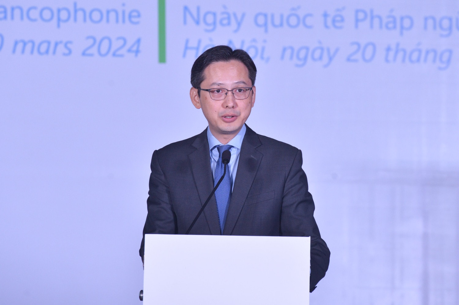Thứ trưởng Bộ Ngoại giao Đỗ Hoàng Việt phát biểu