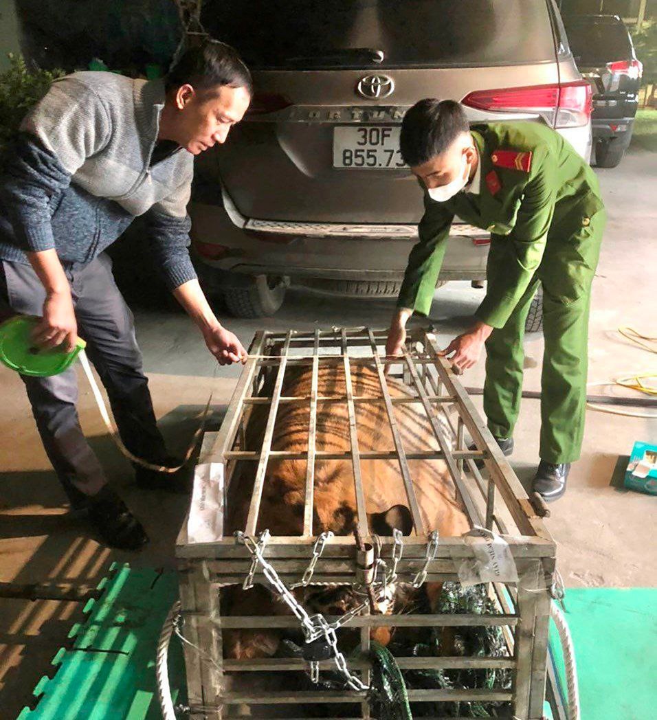  Hành trình cứu hộ hơn 1.500 động vật hoang dã của River Safari Nam Hội An -0