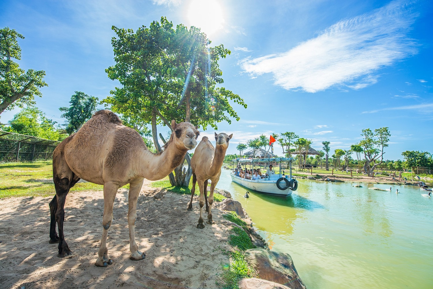  Hành trình cứu hộ hơn 1.500 động vật hoang dã của River Safari Nam Hội An -0