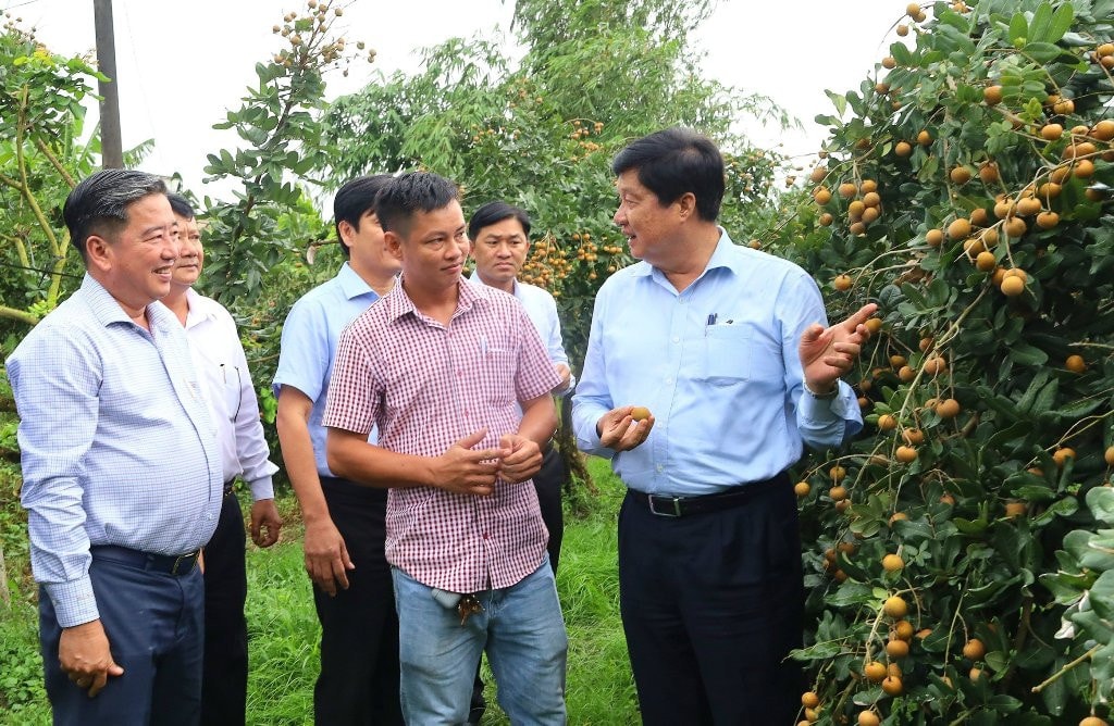 Sớm nghiên cứu nội dung Nghị quyết 594 để tích hợp vào Luật