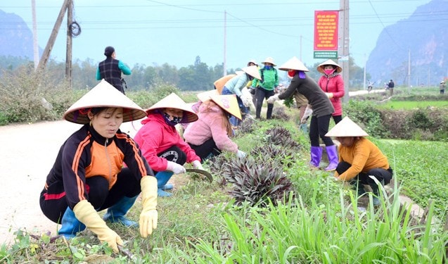 Tích cực xây dựng nông thôn mới nâng cao, đô thị văn minh -0