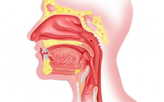 Cần làm gì để phòng tránh bệnh tai mũi họng? -0