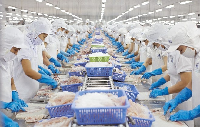 Nhiều lợi thế để xuất khẩu thủy sản tăng tốc vào thị trường Hoa Kỳ. Nguồn:ITN
