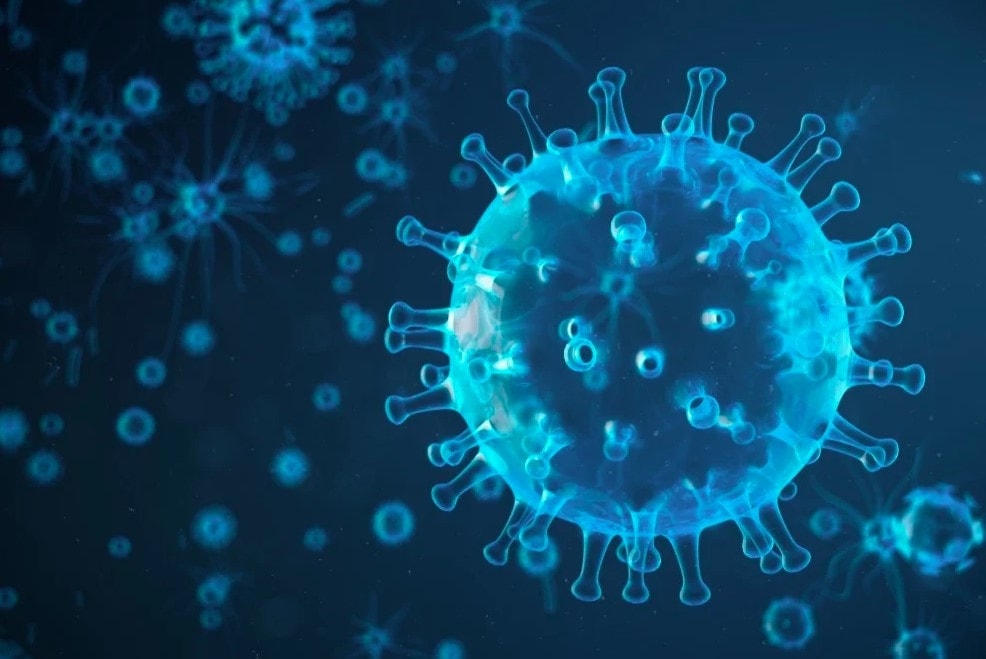 Bác sĩ lưu ý những món ăn có thể là nguồn lây cúm A (H5N1) -0