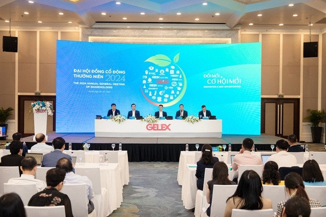 Tập đoàn GELEX tổ chức Đại hội đồng cổ đông thành công -0