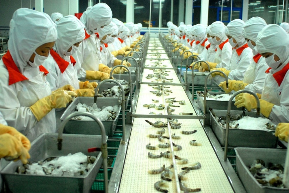 Tỷ lệ thất nghiệp cao do doanh nghiệp thiếu tính bền vững -0